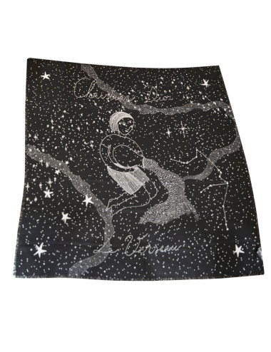 Châle CHRISTIAN DIOR noir Le Verseau 2