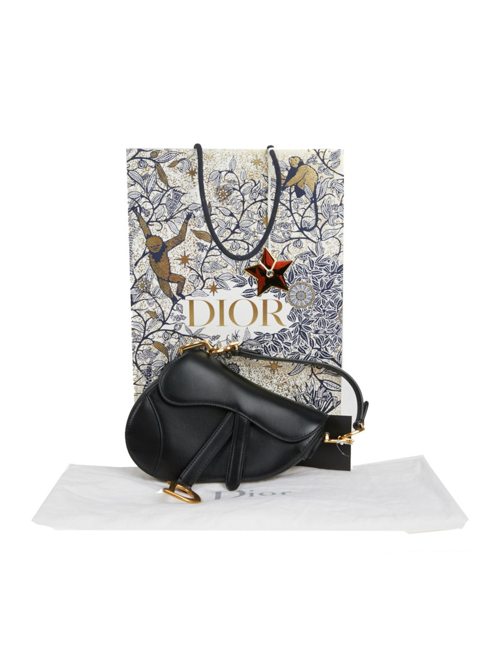 Mini Saddle DIOR noir