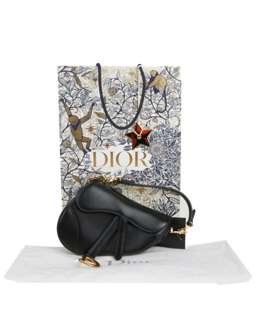 Mini Saddle DIOR noir