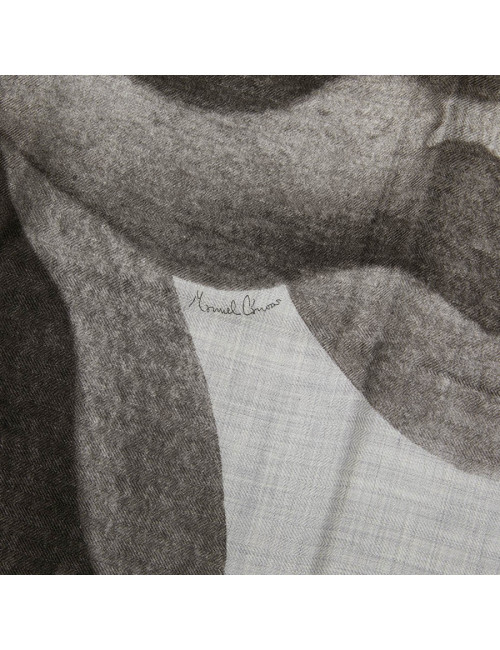 Châle HERMES "Une rose pour Alma"