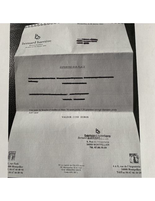 Stud Earrings in White Gold and Diamond Pave 