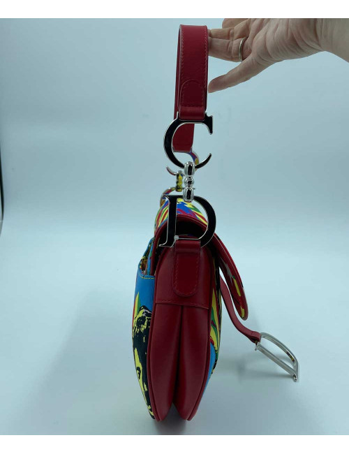 DIOR Saddle Bag Sound of Soul Model in Multicolor Canvas