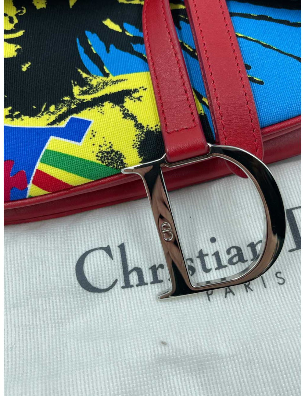 DIOR Saddle Bag Sound of Soul Model in Multicolor Canvas