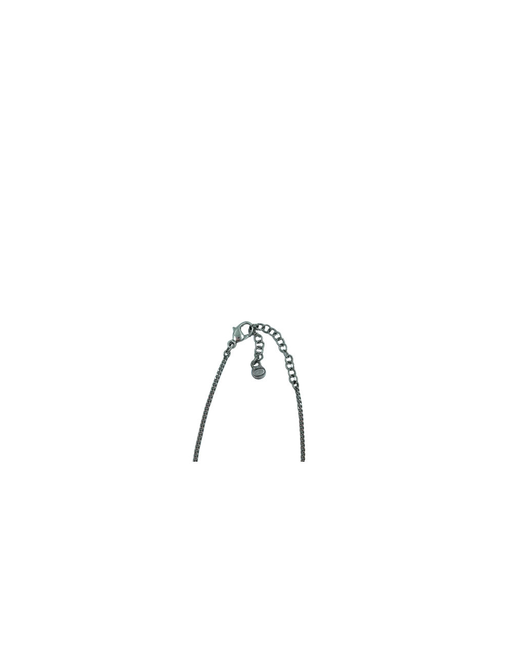 CC CHANEL Necklace - Luxury Second Hand certified Jewelry