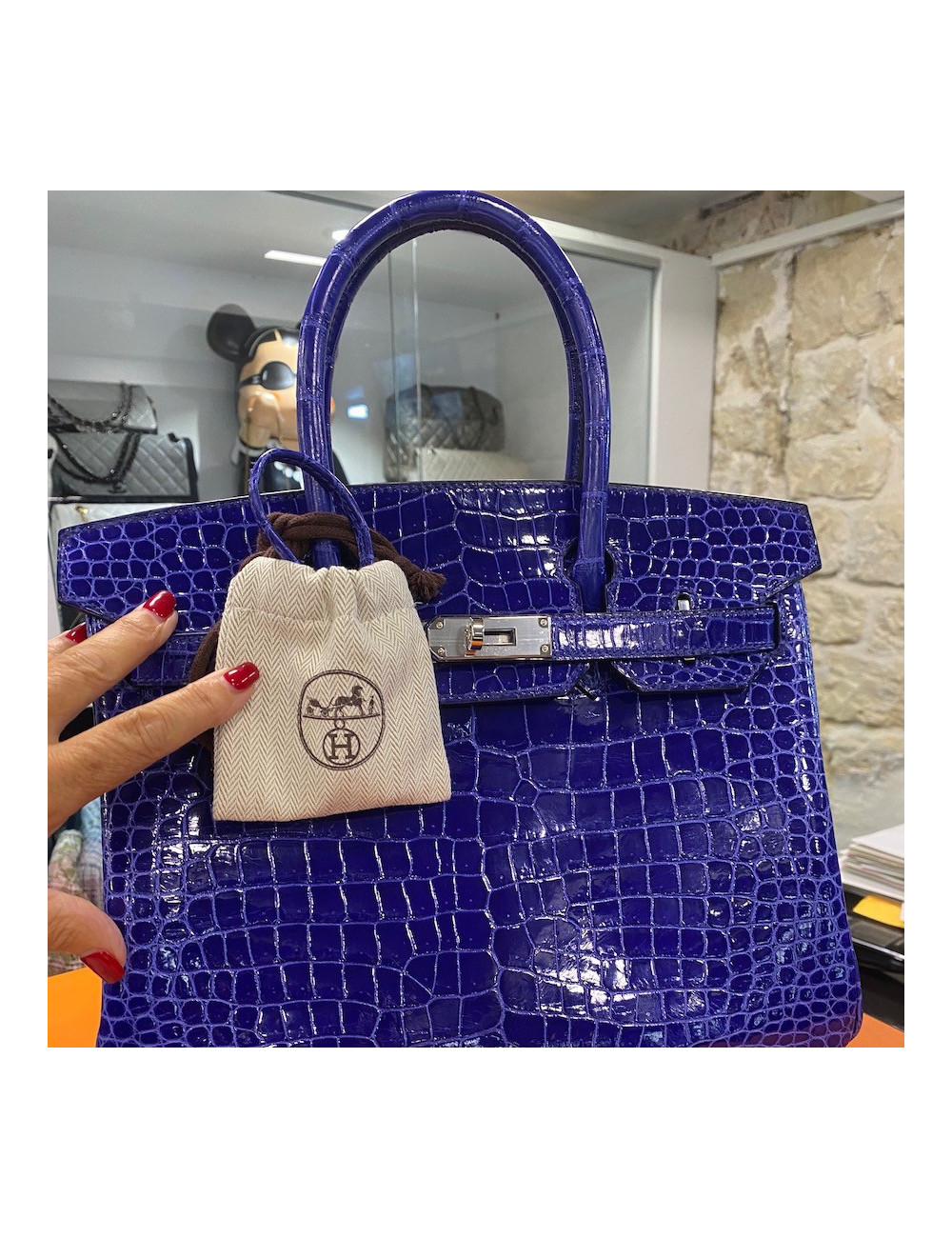 Birkin 30 crocodile porosus