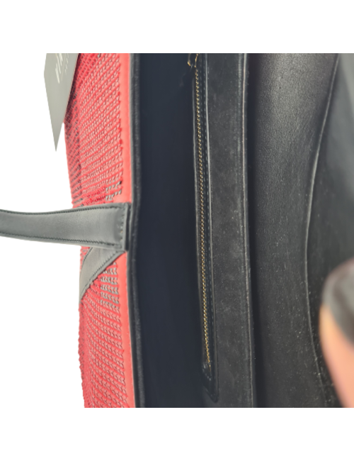  DIOR Saddle bag Limited edition red and black rhinestones