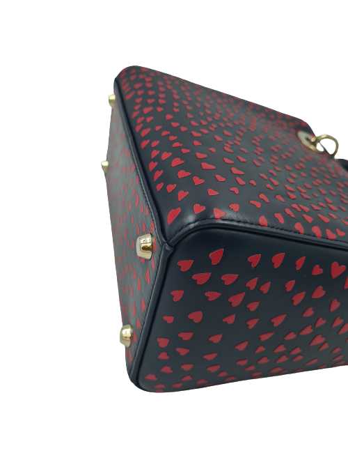 Laday DIOR Love Paris