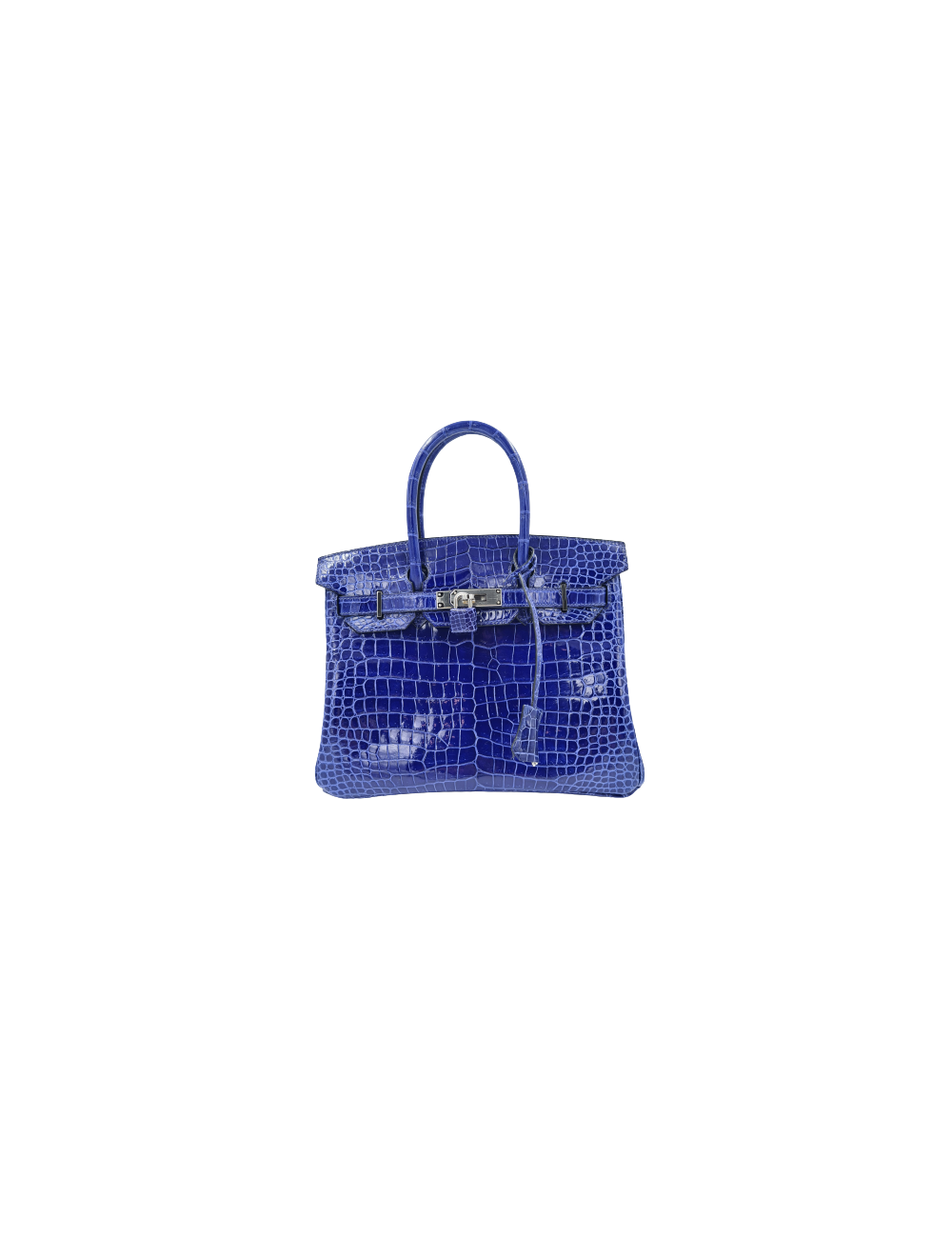Birkin 30 crocodile porosus