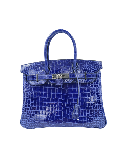 Birkin 30 crocodile porosus