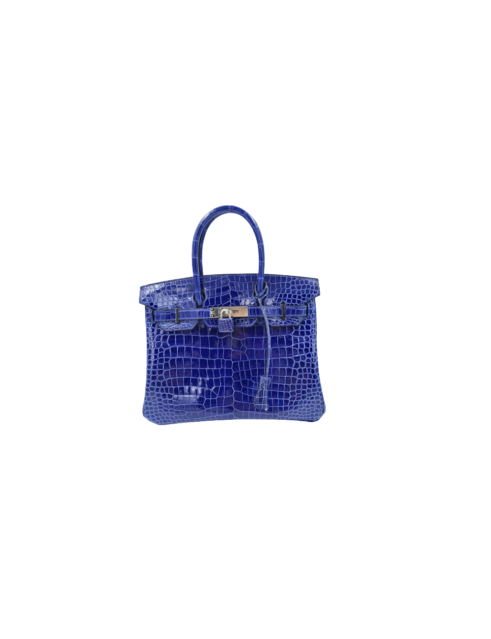 Birkin 30 crocodile porosus