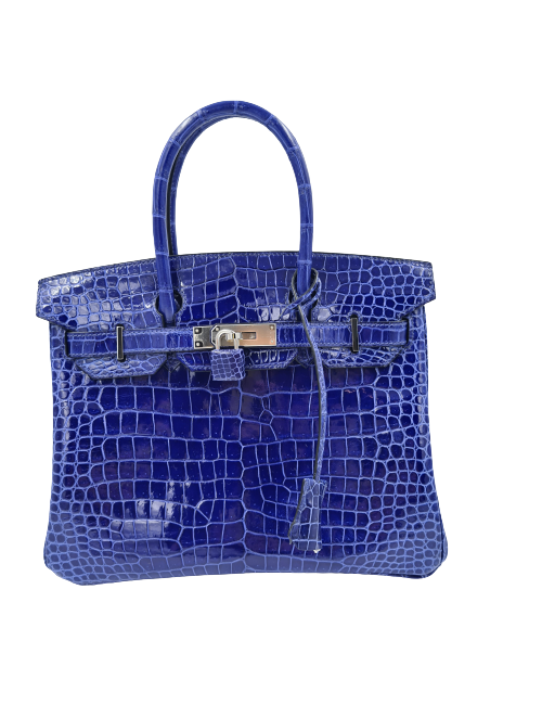 Birkin 30 crocodile porosus