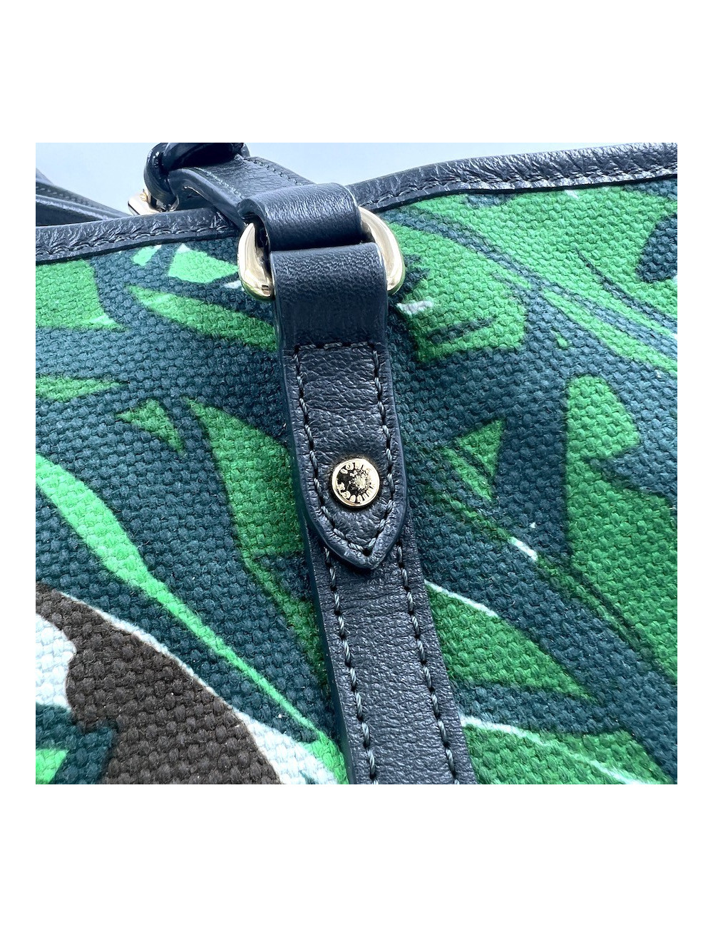 LOUIS VUITTON Ailleurs Aventure Limited Edition Tote Bag - Shop here