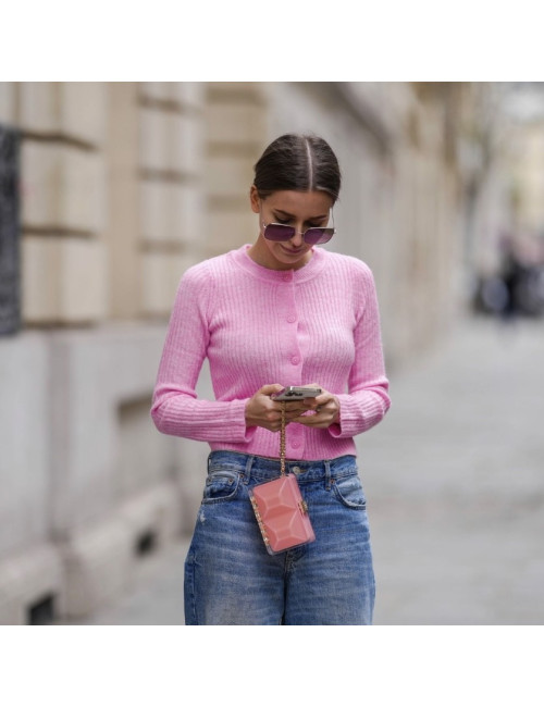 CHANEL Rectangular Clutch in Pink Plexiglass