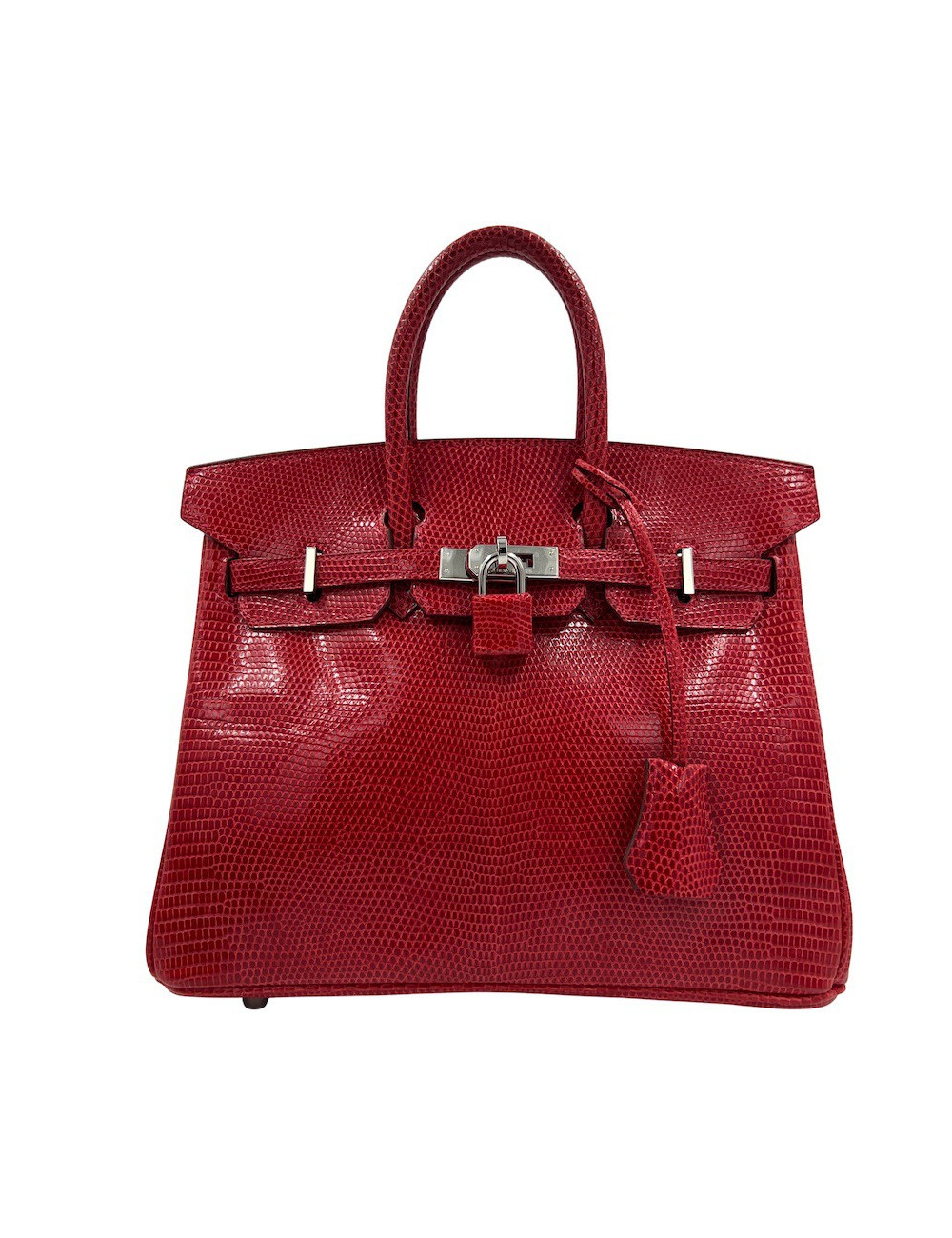 Birkin 25 HERMES Lézard Varan du Nil 