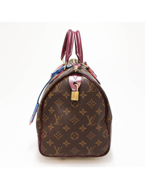 Speedy 30 LOUIS VUITTON Monogram Totem