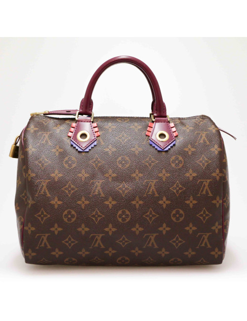 Speedy 30 LOUIS VUITTON Monogram Totem