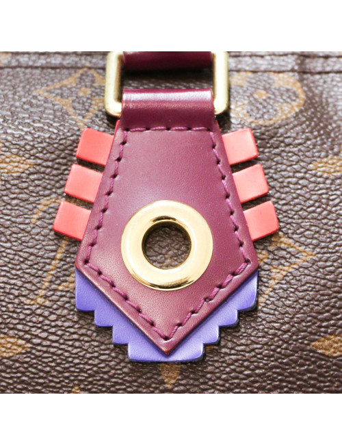 Speedy 30 LOUIS VUITTON Monogram Totem