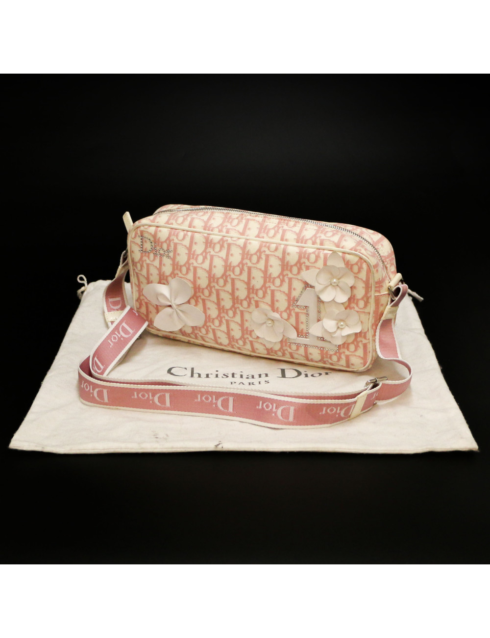 Sac DIOR oblique rose