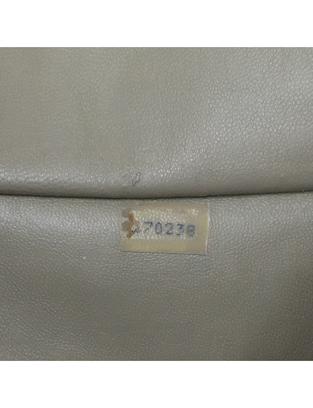 CHANEL beige Caméra bag