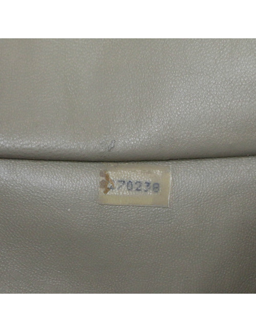 CHANEL beige Caméra bag