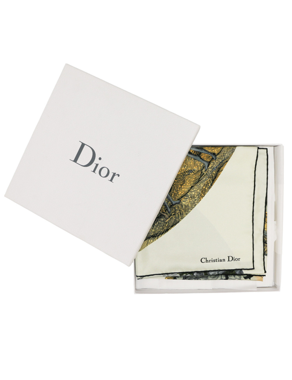 Carré DIOR soie