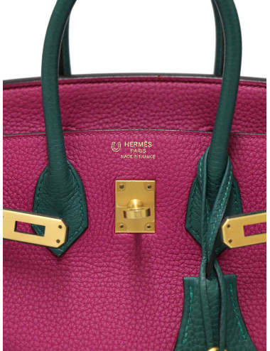 Birkin 25 Hermès horseshoe tricolore 2