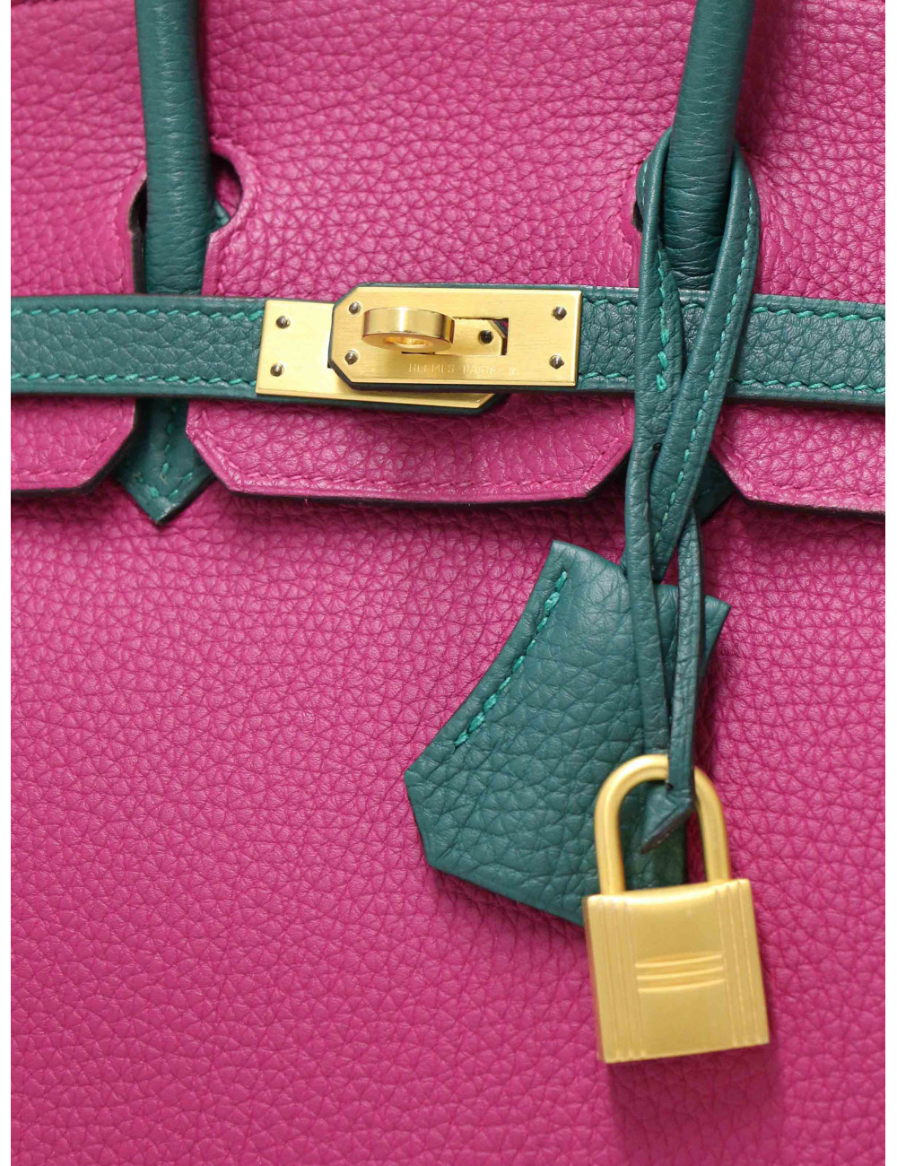 Birkin 25 Hermès horseshoe tricolore