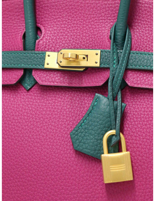 Birkin 25 Hermès horseshoe tricolore