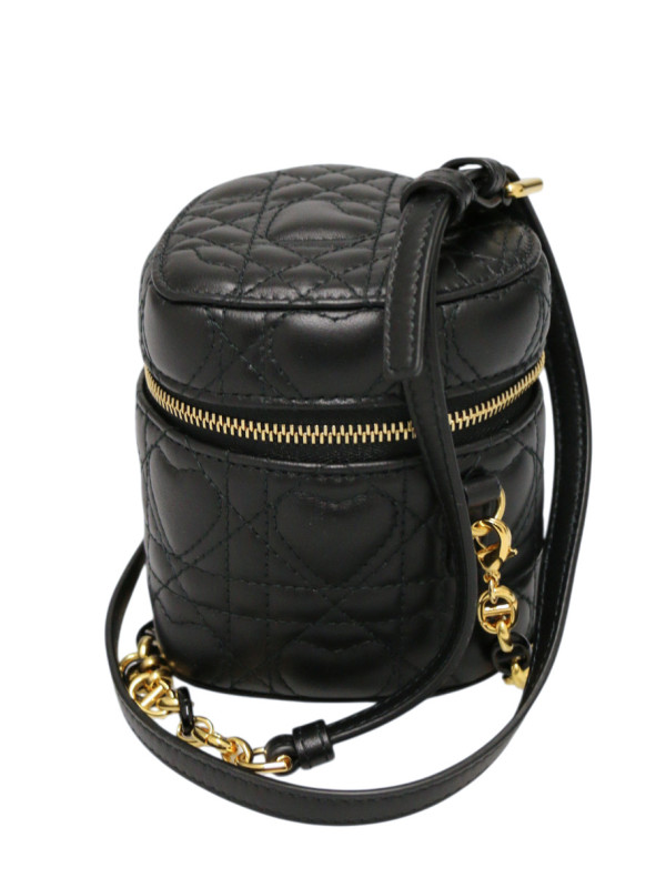 Micro Dioramaur Cro  CHRISTIAN DIOR