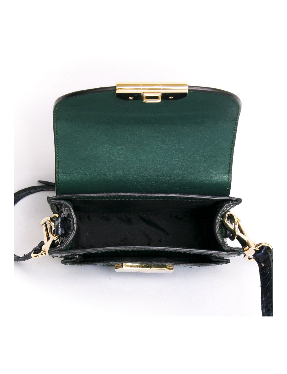 Sac BURBERRY en python dégradé de vert