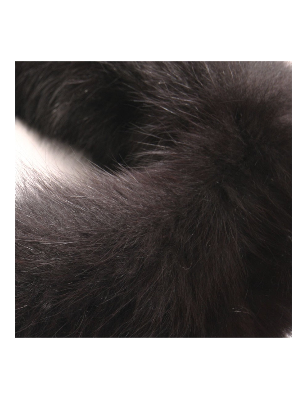 In black fox fur collar