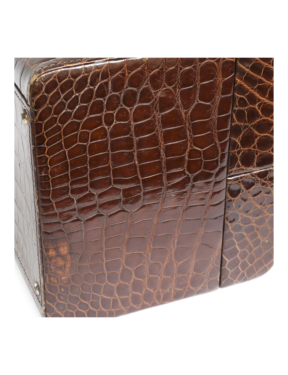 Beauty Case in crocodile