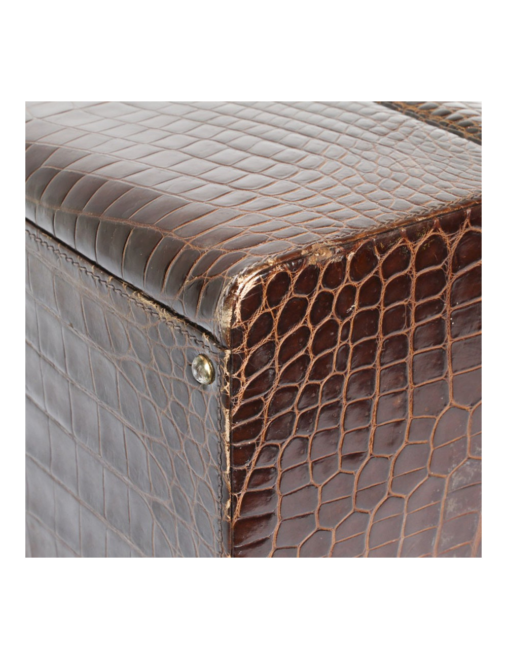 Beauty Case in crocodile