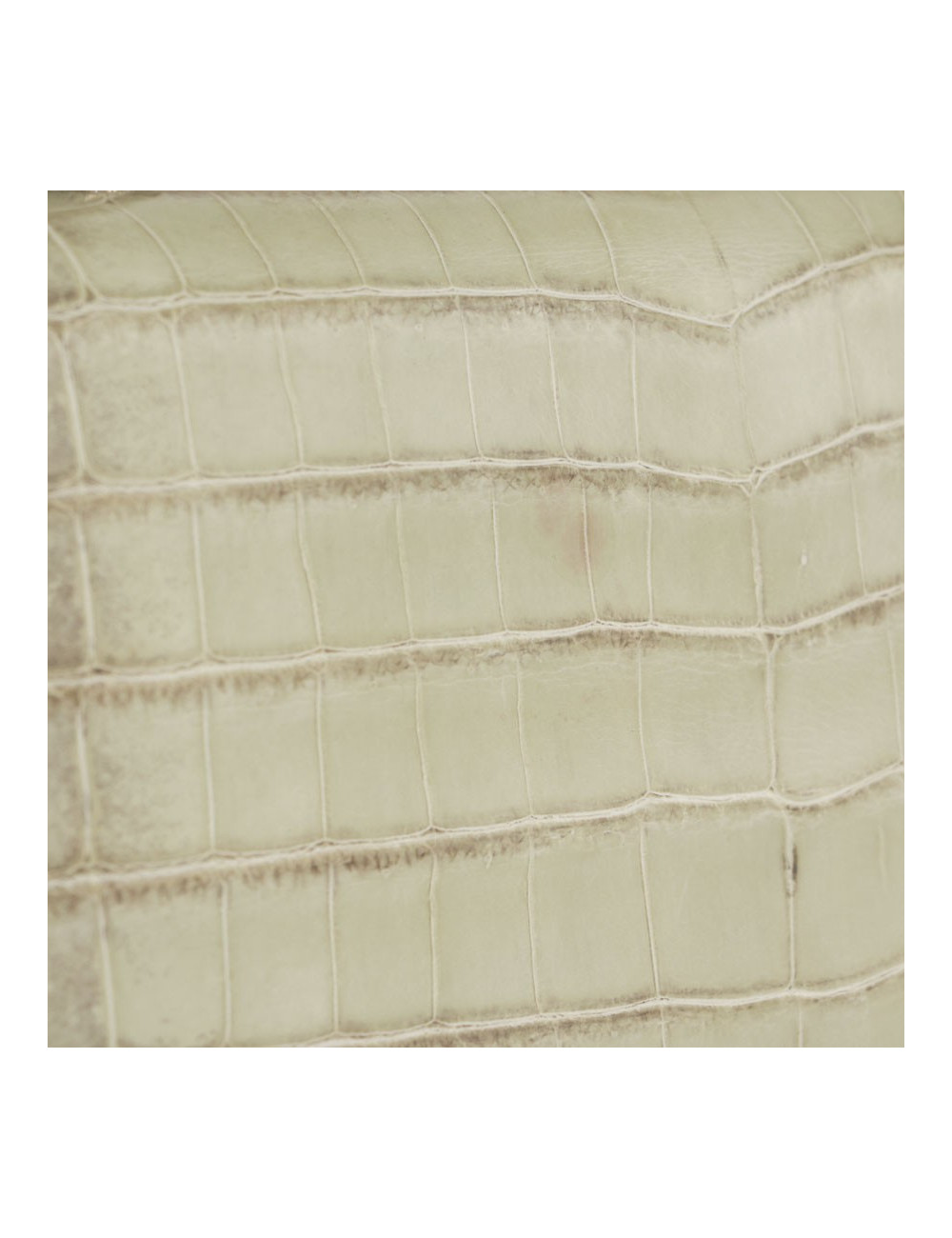 ASPREY bag in water green crocodile