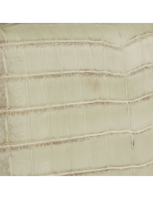 ASPREY bag in water green crocodile