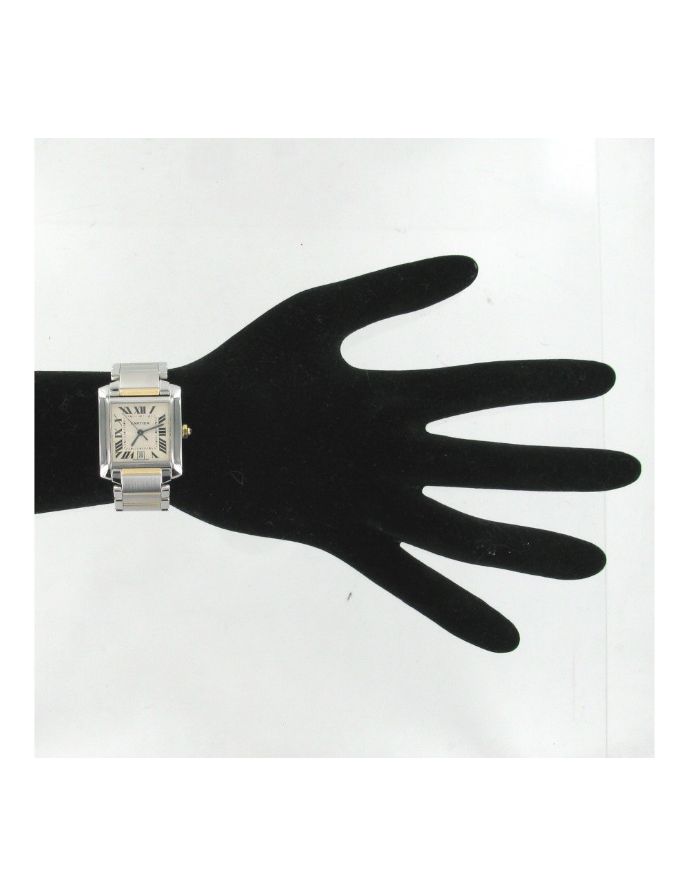 Tank française grand modèle