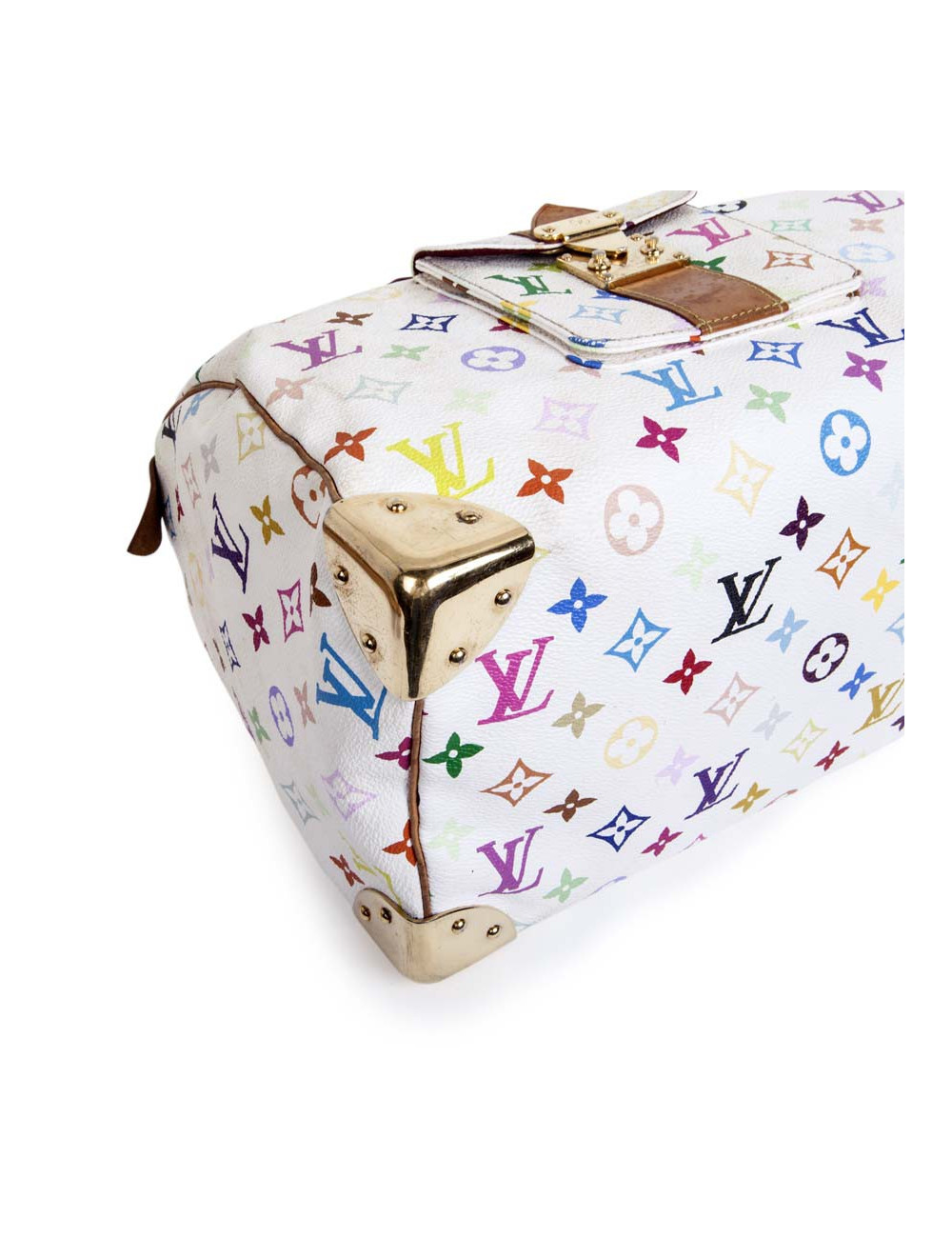 LOUIS VUITTON Speedy Murakami bag in multicolored canvas