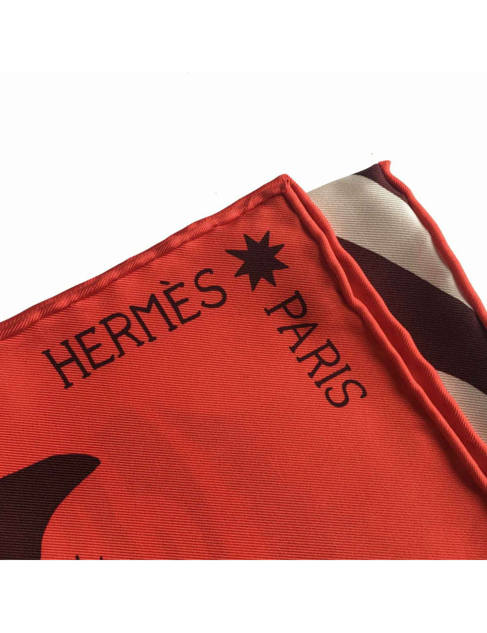 CaHERMES "ZEBRA PEGASUS" 90x 90