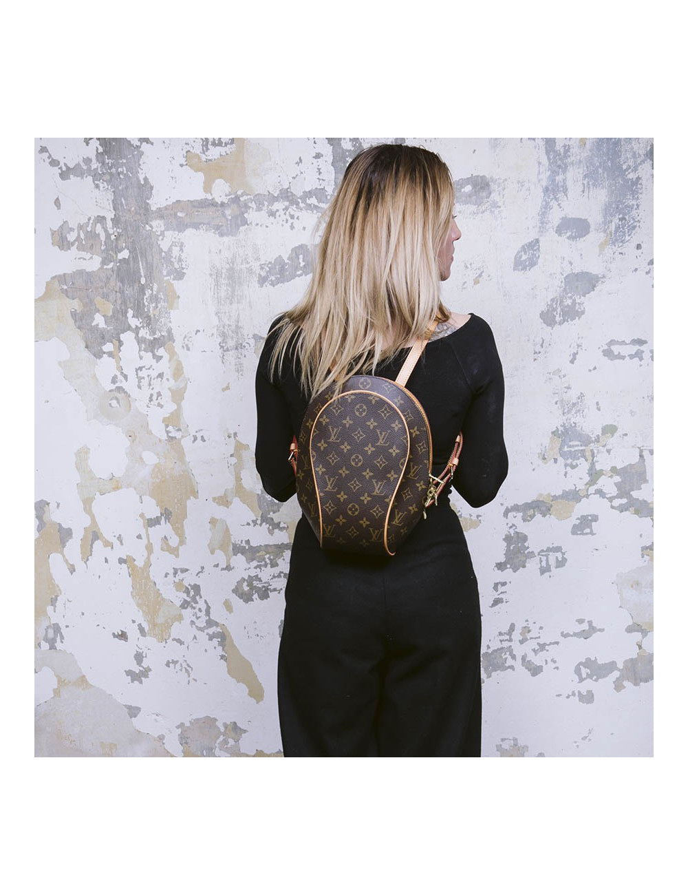 LOUIS VUITTON backpack in brown monogram canvas