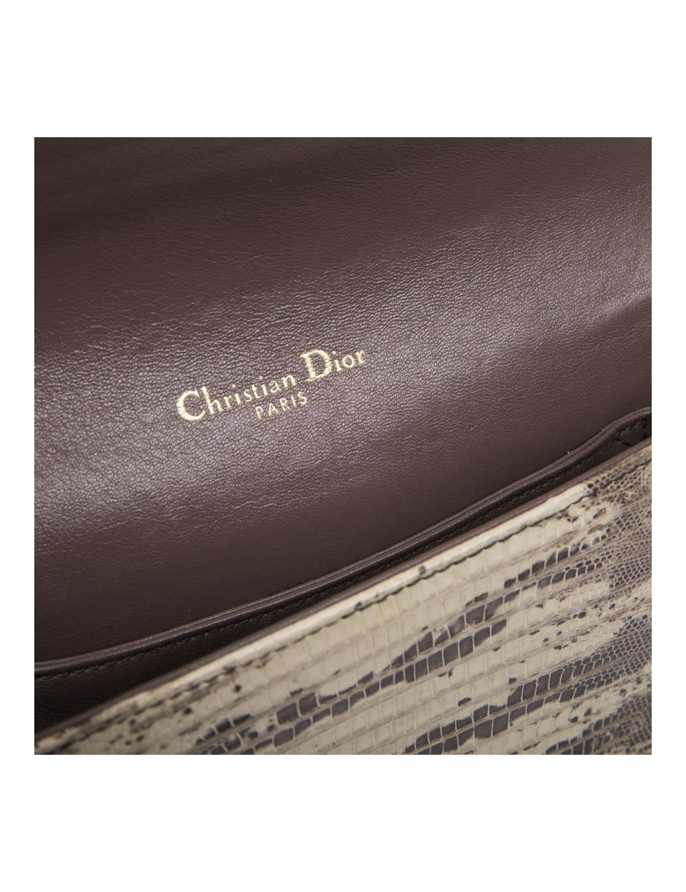 DIOR clutch in water snake skin