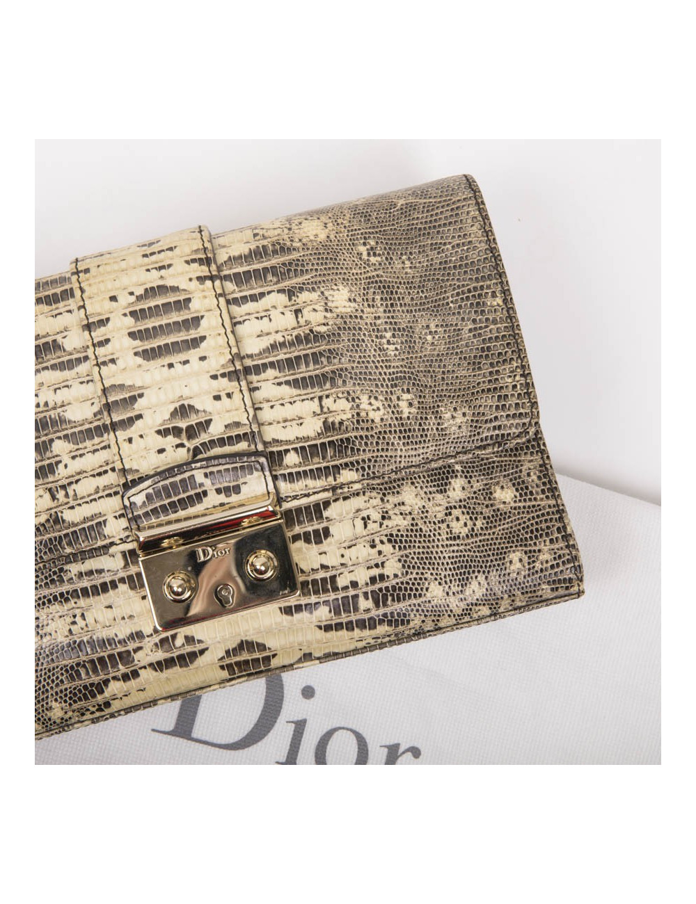 DIOR clutch in water snake skin