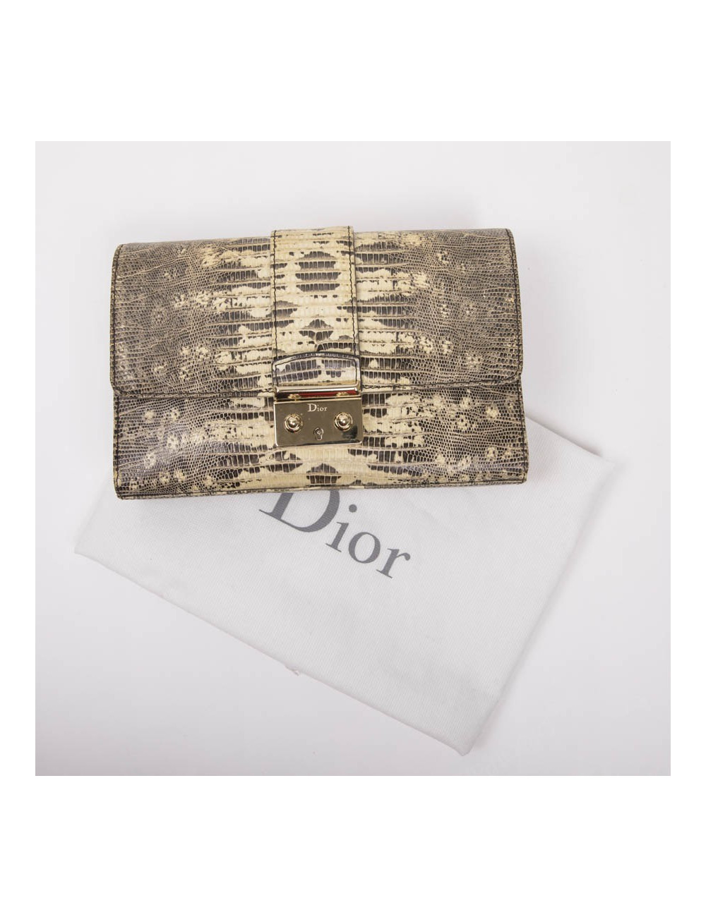 DIOR clutch in water snake skin