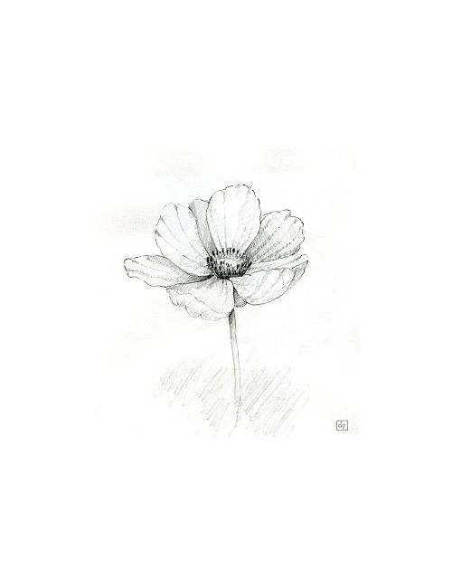 Pin's  Numéro 5 métal argent