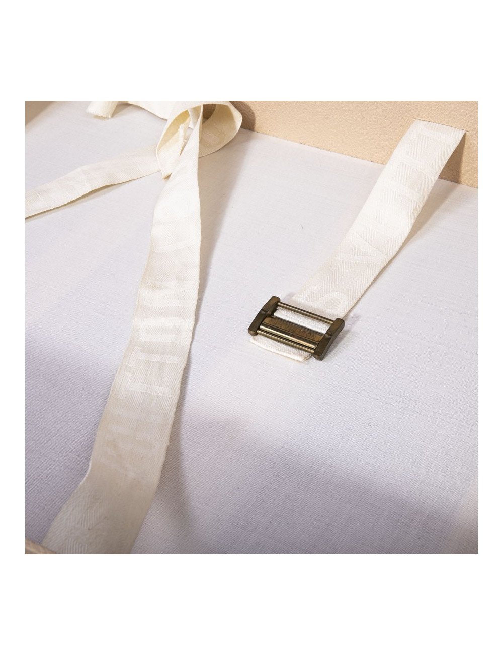 LOUIS VUITTON rigid travel case Bisten 70 monogram LV