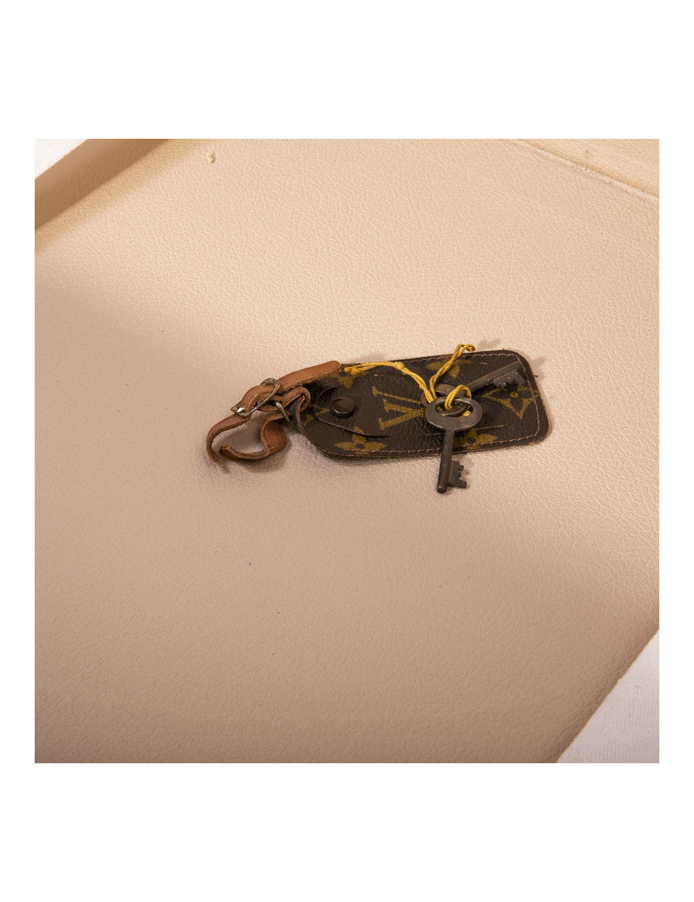 LOUIS VUITTON rigid travel case Bisten 70 monogram LV