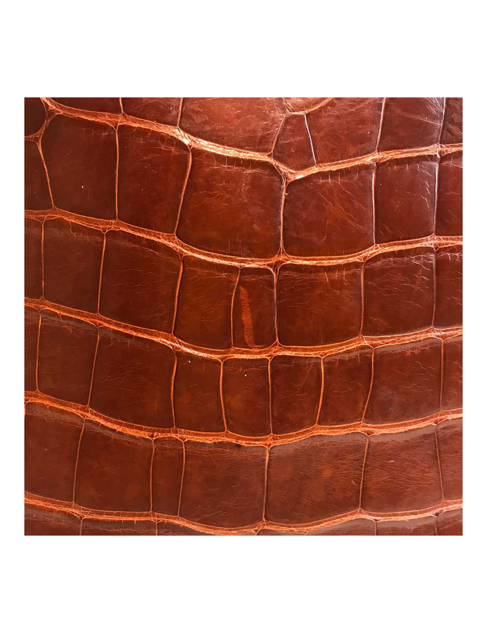 Kelly 32 alligator mat HERMES marron bijouterie or