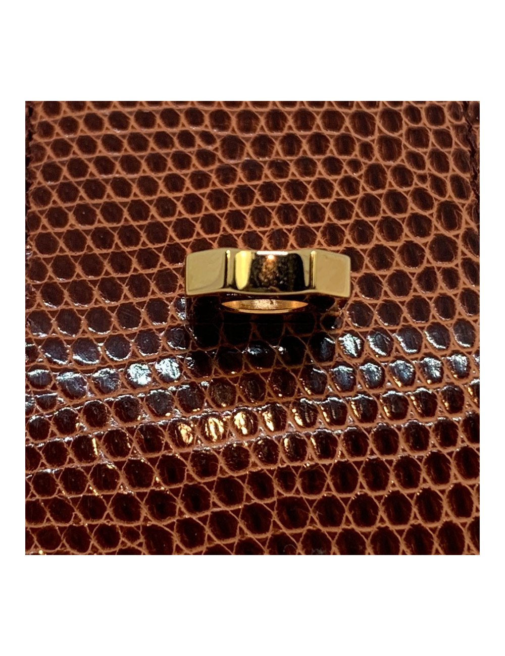 Manchette collier de chien HERMES lezard lisse etrusque