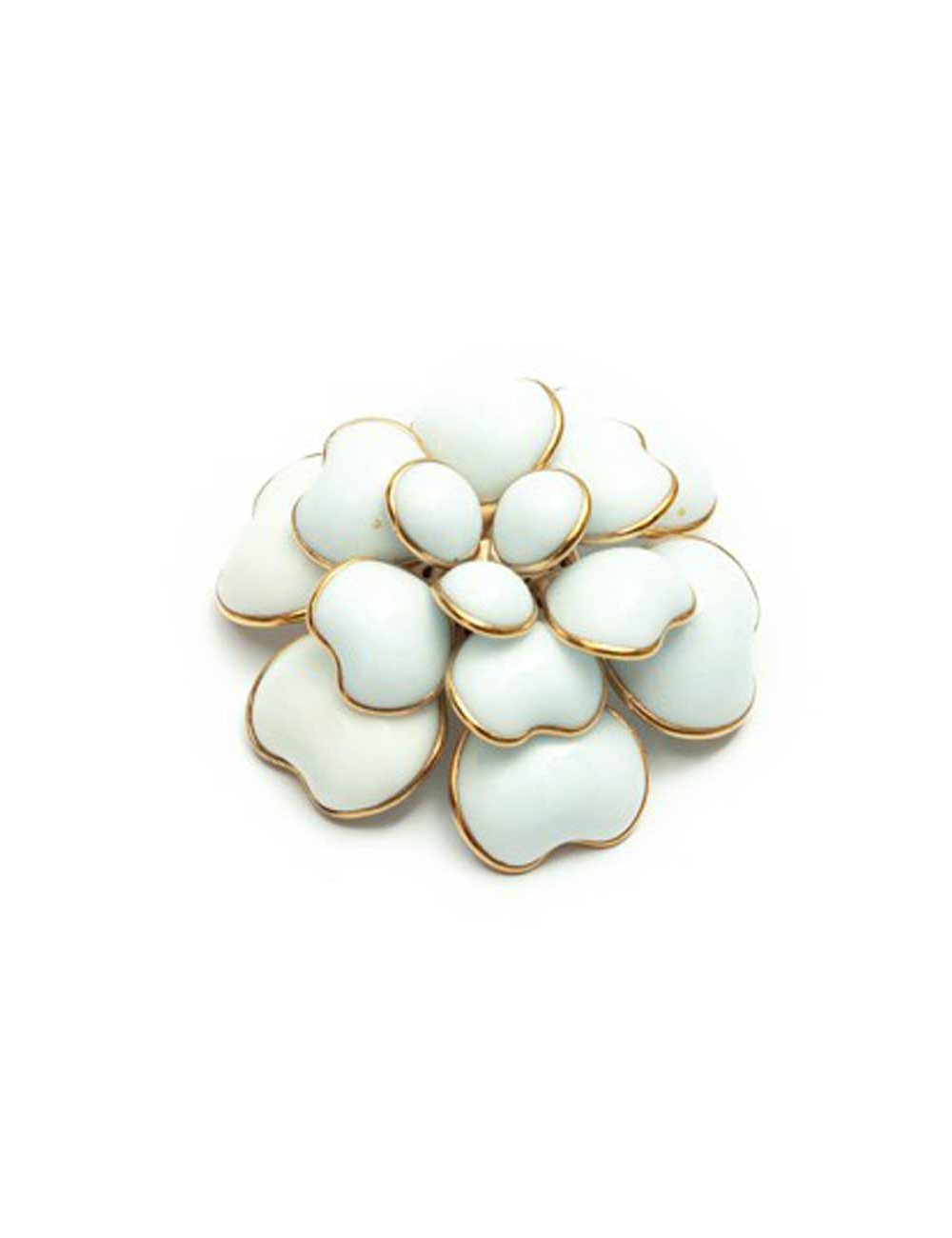 Camelia blanc MARGUERITE DE VALOIS